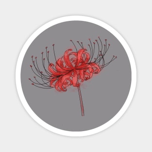 Anime Spider Lily Magnet